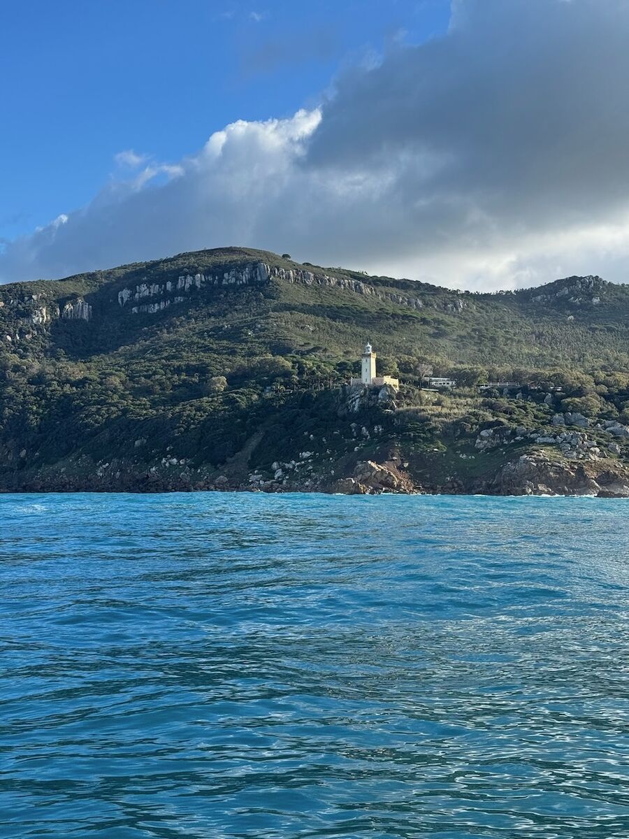 Atlantik 2025 - Photo 37