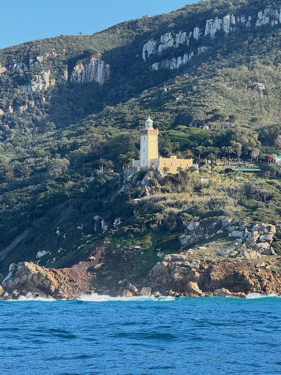 Atlantik 2025 - Photo 38