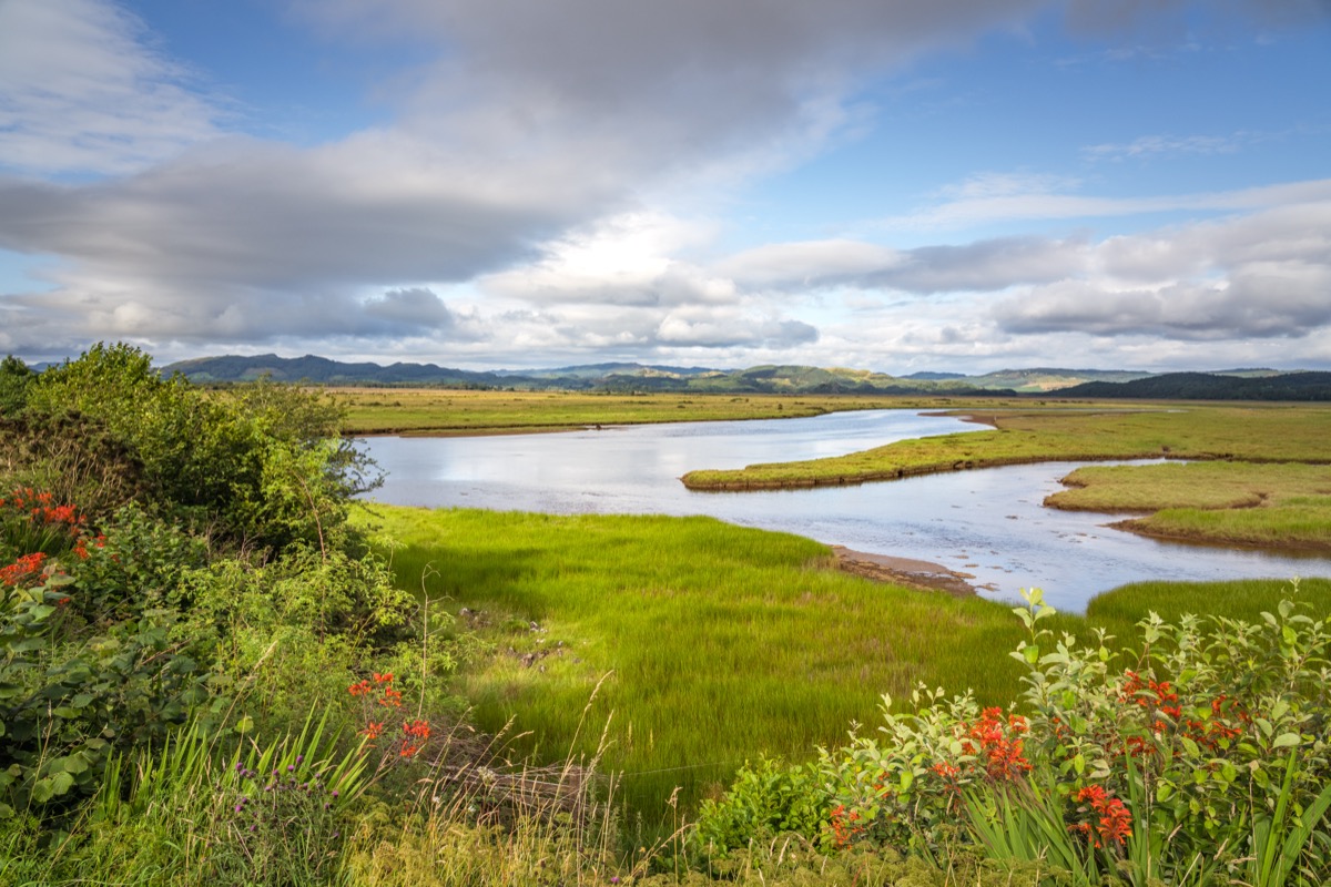 Scotland 2025 - Photo 5