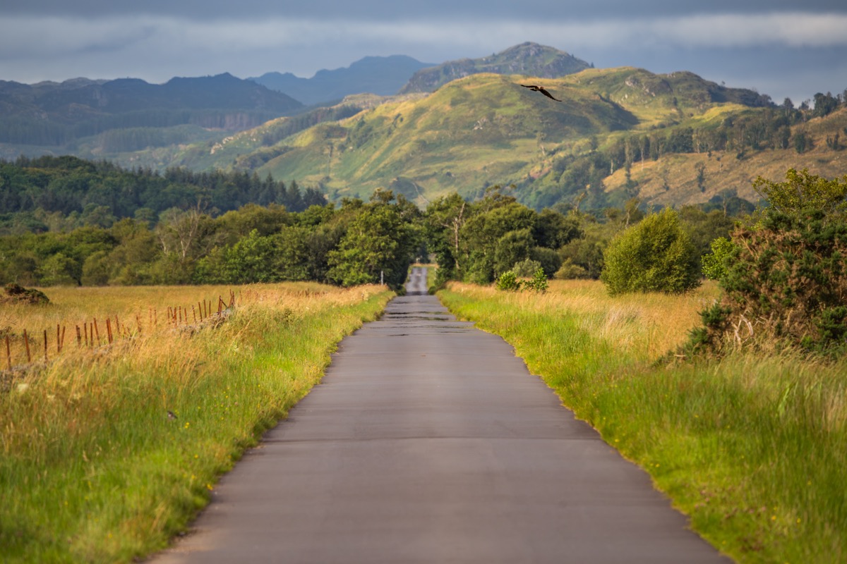 Scotland 2025 - Photo 8