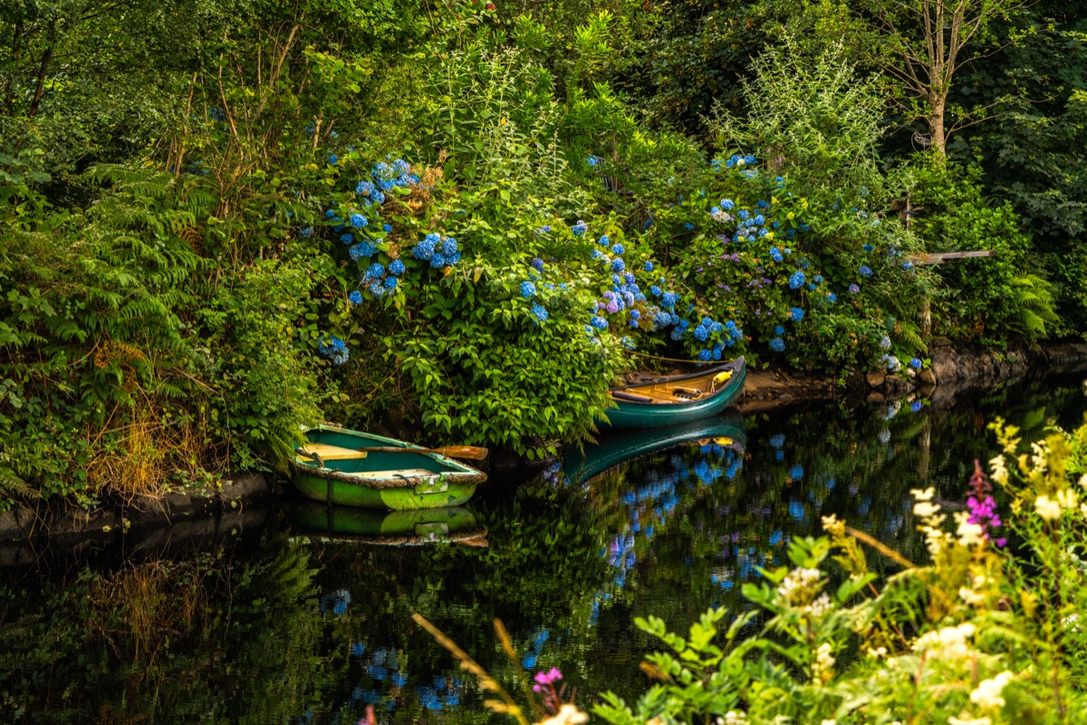 Scotland 2025 - Photo 9